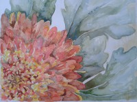 /album/fotogalerij/a2004-chrysant-jpg/