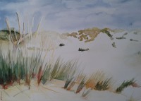 /album/fotogalerij/a2004-duinlandschap-jpg/