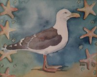/album/fotogalerij/a2001-zilvermeeuw-jpg/