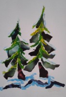 /album/fotogalerij/a2002-kerstbomen2-jpg/