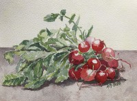 /album/fotogalerij/a20201008-radijs-jpg1/