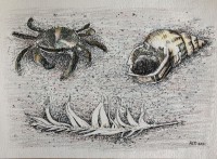 /album/fotogalerij/a20210321-strandvondsten-jpg/