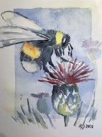 /album/fotogalerij/20210513-hommel-jpg1/