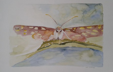 Bont Zandoogje - 2004 (49x65) Opdracht: foto van een dier