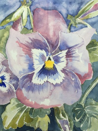 20170330: close-up van een viooltje, 30x40 aquarel zonder eerst een tekening in potlood