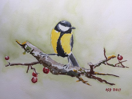 20170418: koolmees aquarel, 30x40