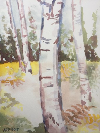 20171102 Nat in Nat: berkenstammen. Aquarel 30x40
