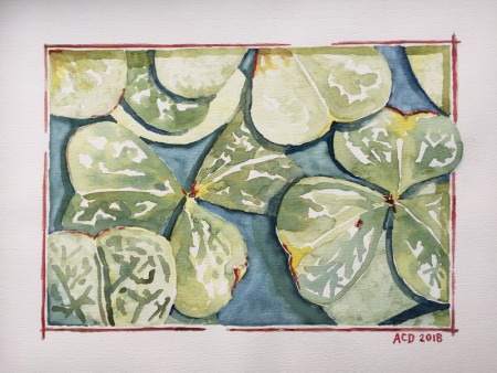 20180126: Klavertjes, aquarel 30x40 cm.