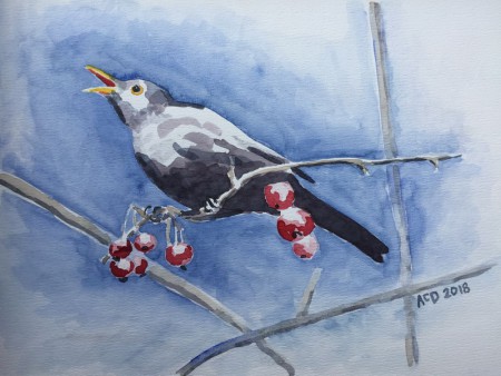 5 april 2018: Zingende merel. aquarel 30x40 cm.