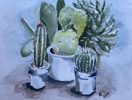 20181018: Cactussen. aquarel 30x40 cm.
