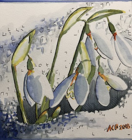 20181122: sneeuwklokjes, aquarel 23x22 cm