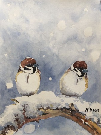 20190207: Ringmussen, aquarel 30x40 cm