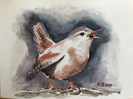 20190207: Winterkoning, aquarel 30x40 cm