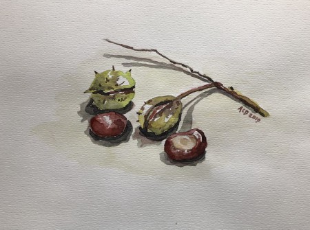 20191003: Kastanjes met bolsters. aquarel 20x30 cm