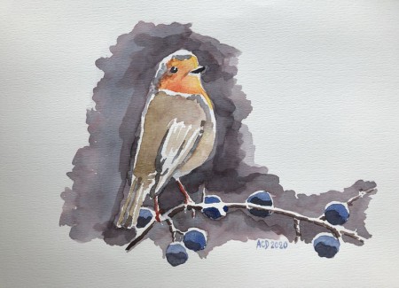 2020 01 23: Roodborst, aquarel, 30x40 cm