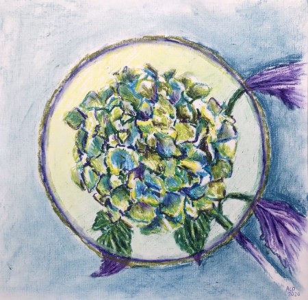 20200825 Hortensia mandala, oliepastel- en pastelkrijt, 30x30 cm