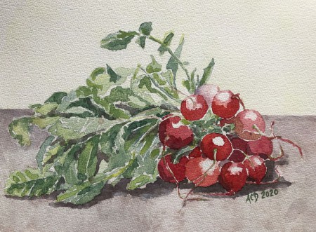 2020 10 08: Bosje radijs, aquarel, 30x40 cm