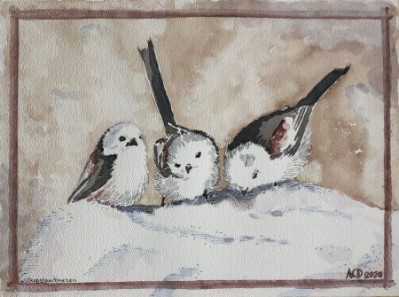 2020 12 12: Witkopstaartmezen in de sneeuw, onze nieuwjaarskaart dit jaar, aquarel met fineliner, 30x40 cm