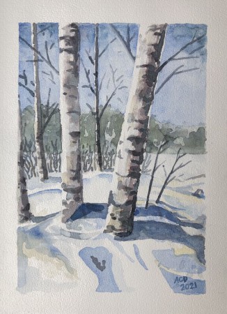 2021-02-05: Berken in de sneeuw, aquarel 30x40 cm