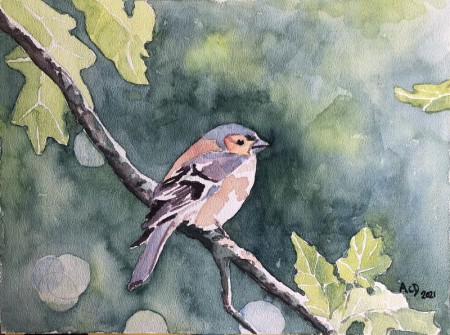 20210320: Vink. Challenge van Facebook groep