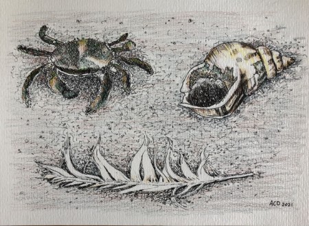20210321: Strandvondsten inkt en aquarelpotlood, A4
